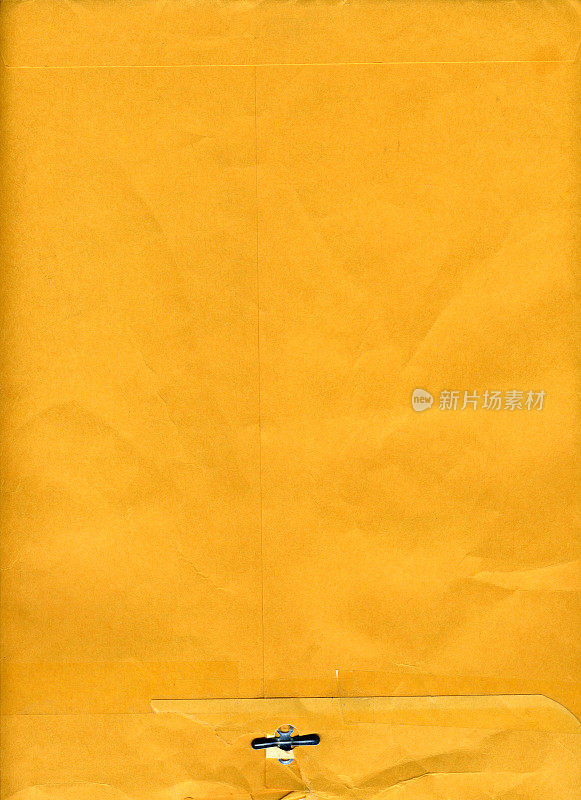 美国邮政信封9x12' (XXL)